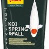 KOI PROFESSIONAL SPRING AND FALL