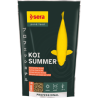 KOI PROFESSIONAL SUMMER