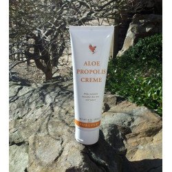CREME ALOE PROPOLIS 113G