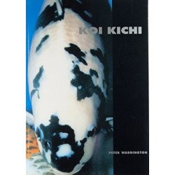 LIVRE KOI KICHI