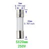 LOT DE 2 FUSIBLES 5A 250V
