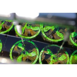 CROCHETS MOUNTAIN TREE