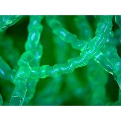 copy of TAPIS MOUNTAIN TREE 120x100x4