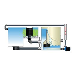copy of SKIMMER MOUNTAIN TREE 195MM VERT
