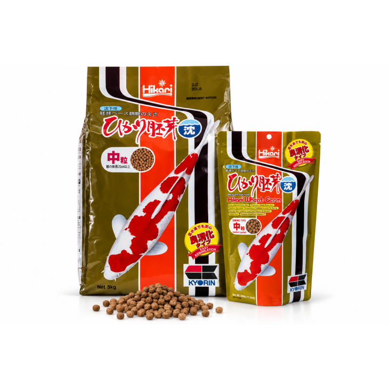 HIKARI WHEAT-GR COULANT MEDIUM