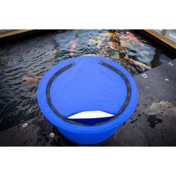 KOI BOWL