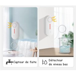 CAPTEUR DE FUITE AVEC OU SANS SON