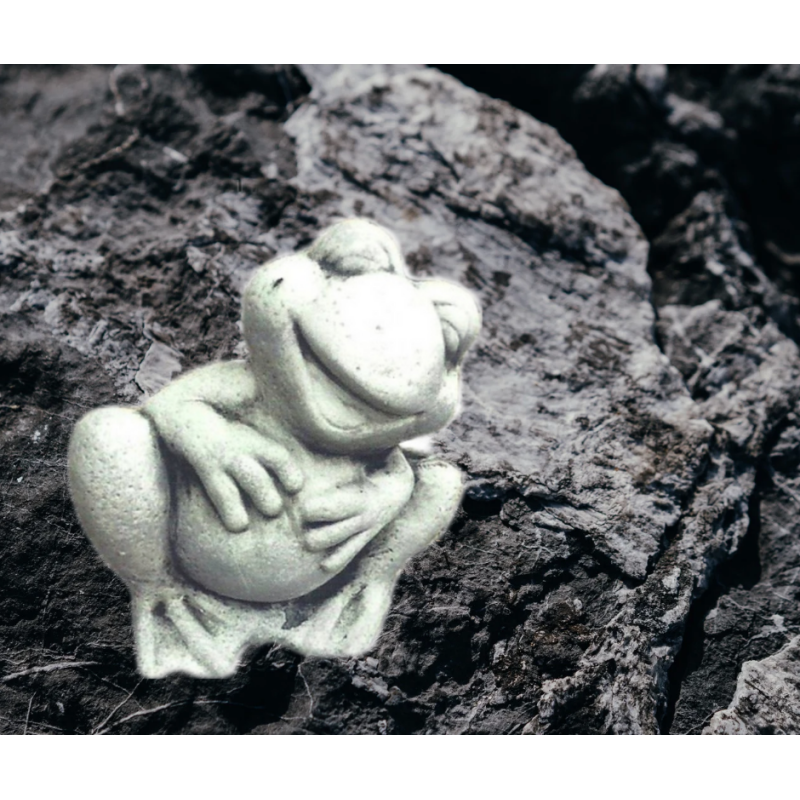 GRENOUILLE