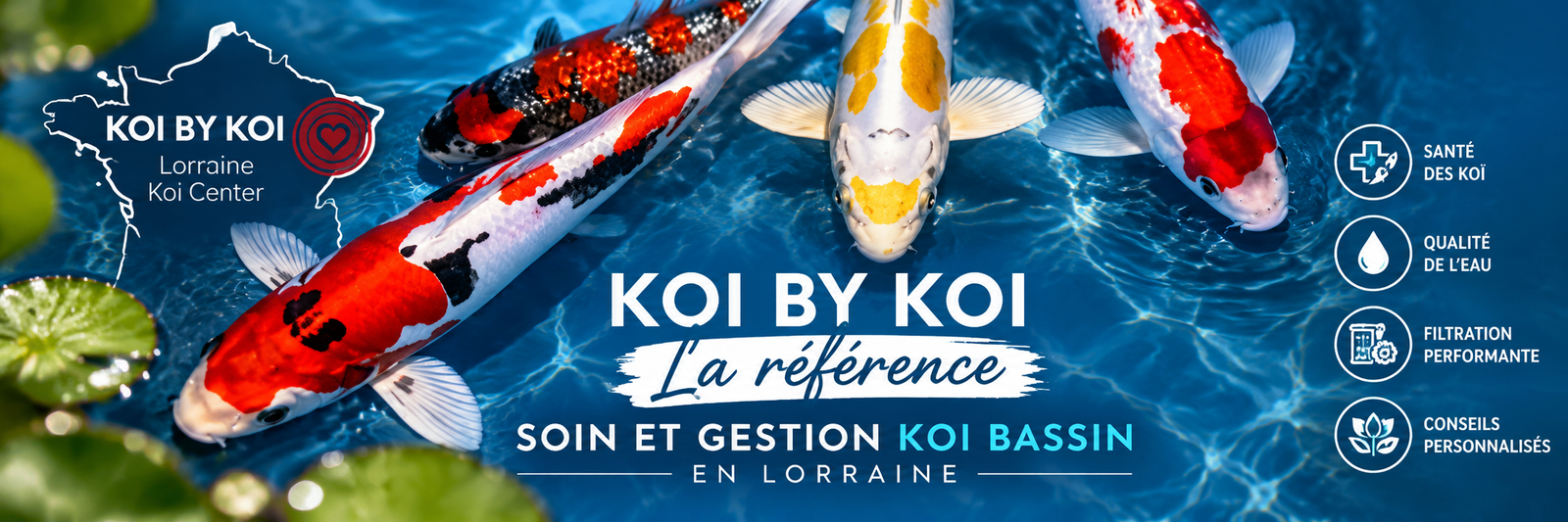 La référence pour le soin et l'entretien du bassin et  des koi Dans le Grand Est, Lorraine, Alsace, Champagne, Ardennes